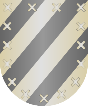 ESCUDO ALEATORIO